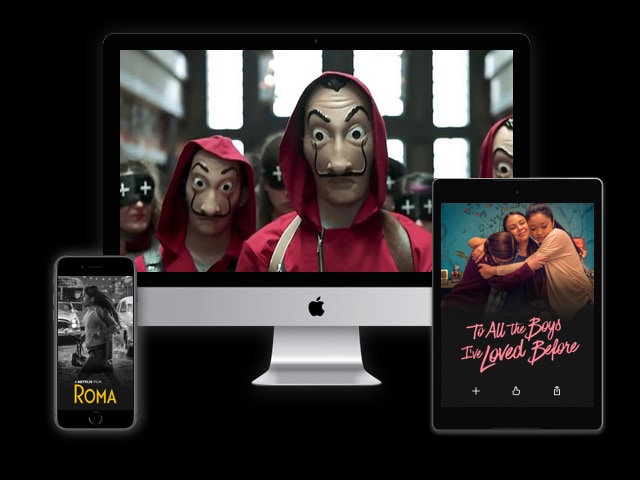 Money Heist on Fakeflix