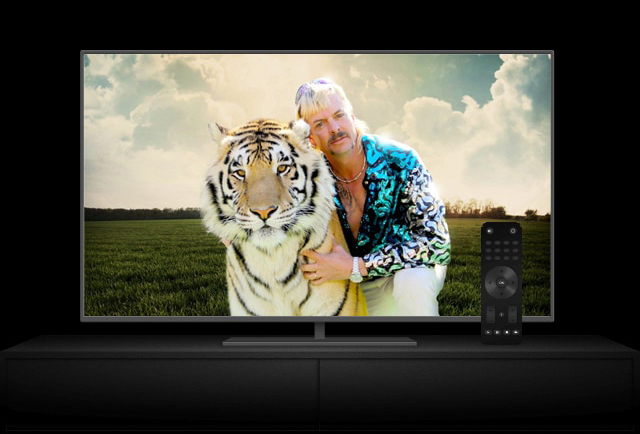 Tiger King on Fakeflix